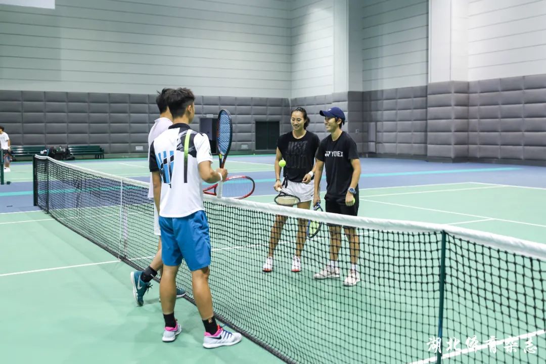 们提供了宝 们提供了宝