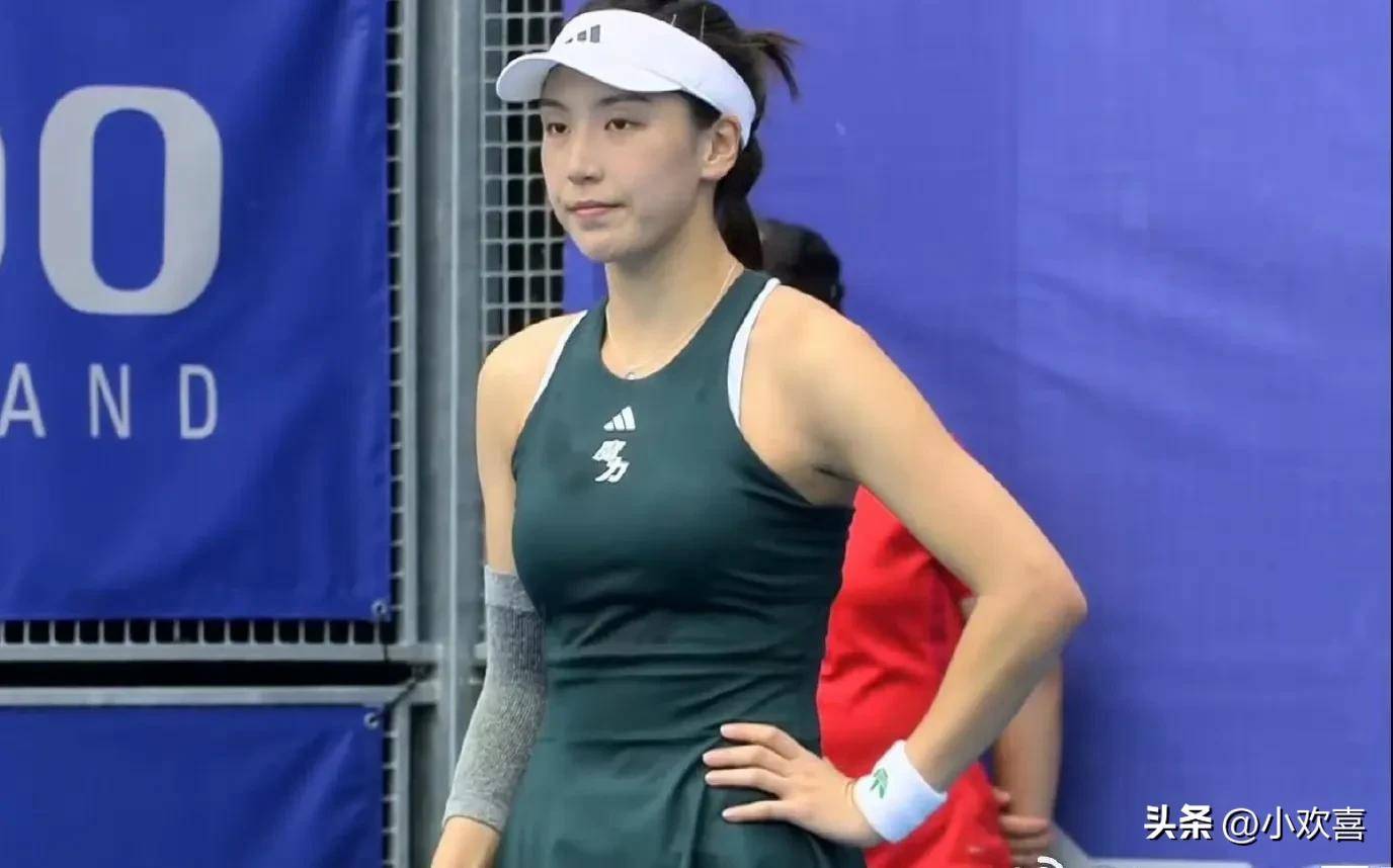 波兰足球的 波兰足球的