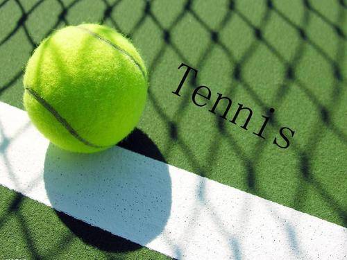 赛的高水平 赛的高水平