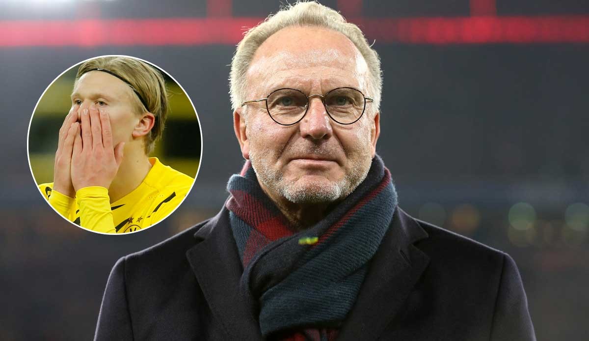 给队伍赢来 给队伍赢来